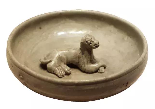 中国狗品种常见小型犬,狗狗种类中小型犬