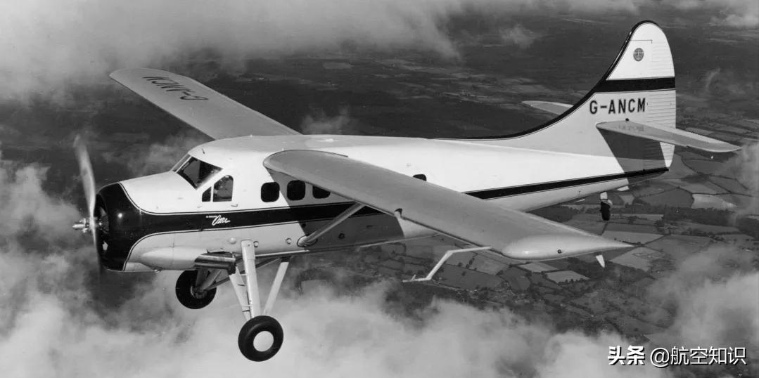 飞机制造商对动物的喜爱到底有多深？——德哈维兰加拿大