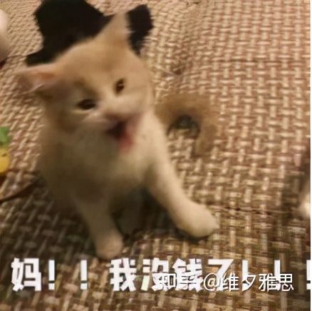 只有留学生才能看懂的“神秘代码”，你知道几个？