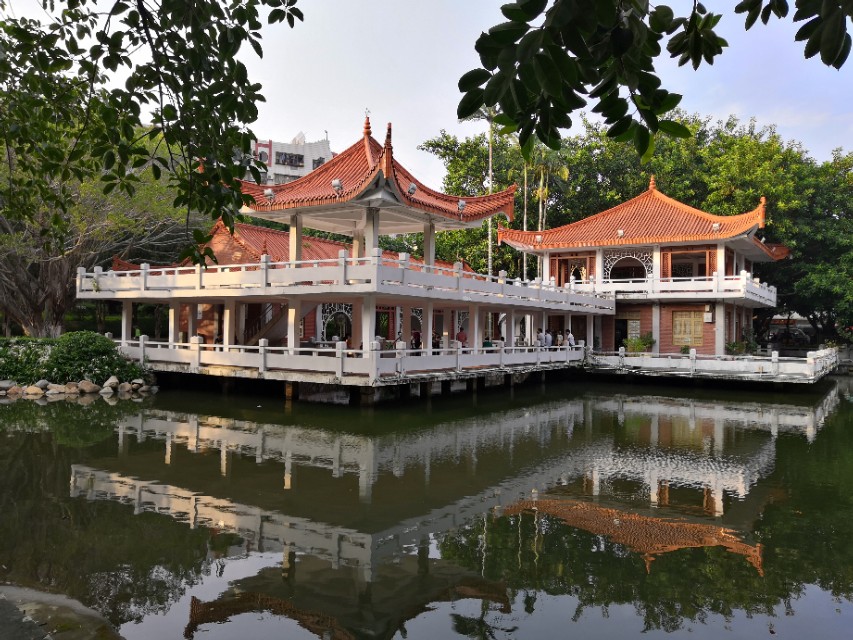 成长股有哪些重要特征,成长股是什么