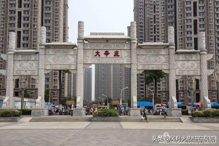 济南的法国梧桐,济南梧桐树美景