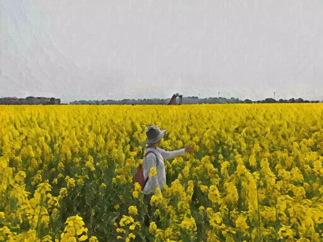 别再说安义没什么玩的了，有这一篇就够了！