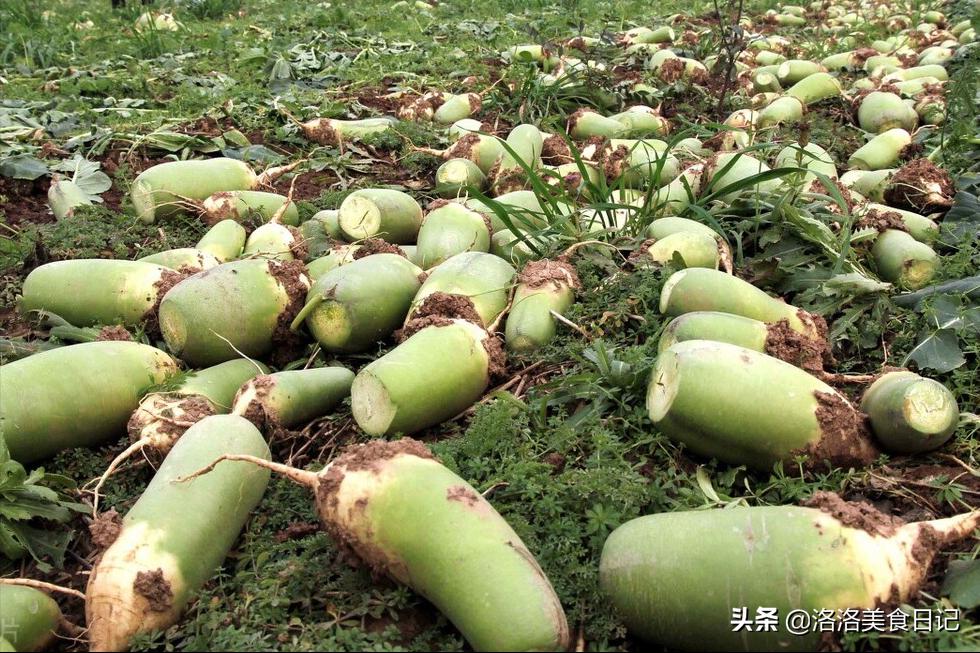 立冬吃5宝,立冬要吃的几宝