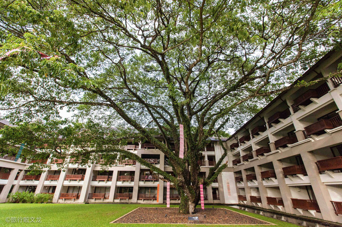清莱冬天住宿贵吗,泰国清莱住宿贵不贵