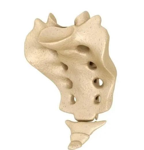 什么动作可以矫正尾骨,骶尾骨痛有哪些动作可以改善