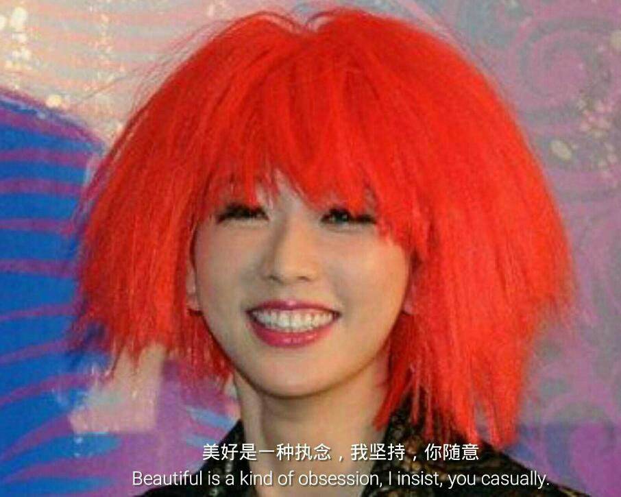 上海名媛拼单事件是理想还是现实,上海名媛拼单攻略