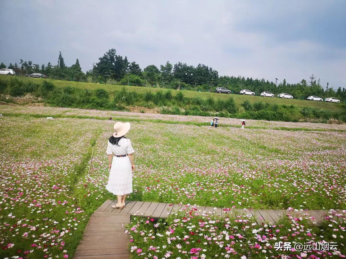自拍杆拍摄使用技巧和方法,自拍杆拍照技巧和方法