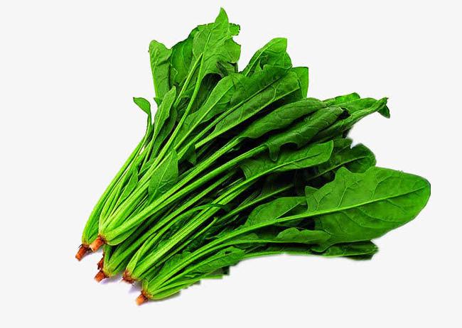 孕期贫血怎么调理才能补得快,孕期贫血小常识准妈妈们一定要看