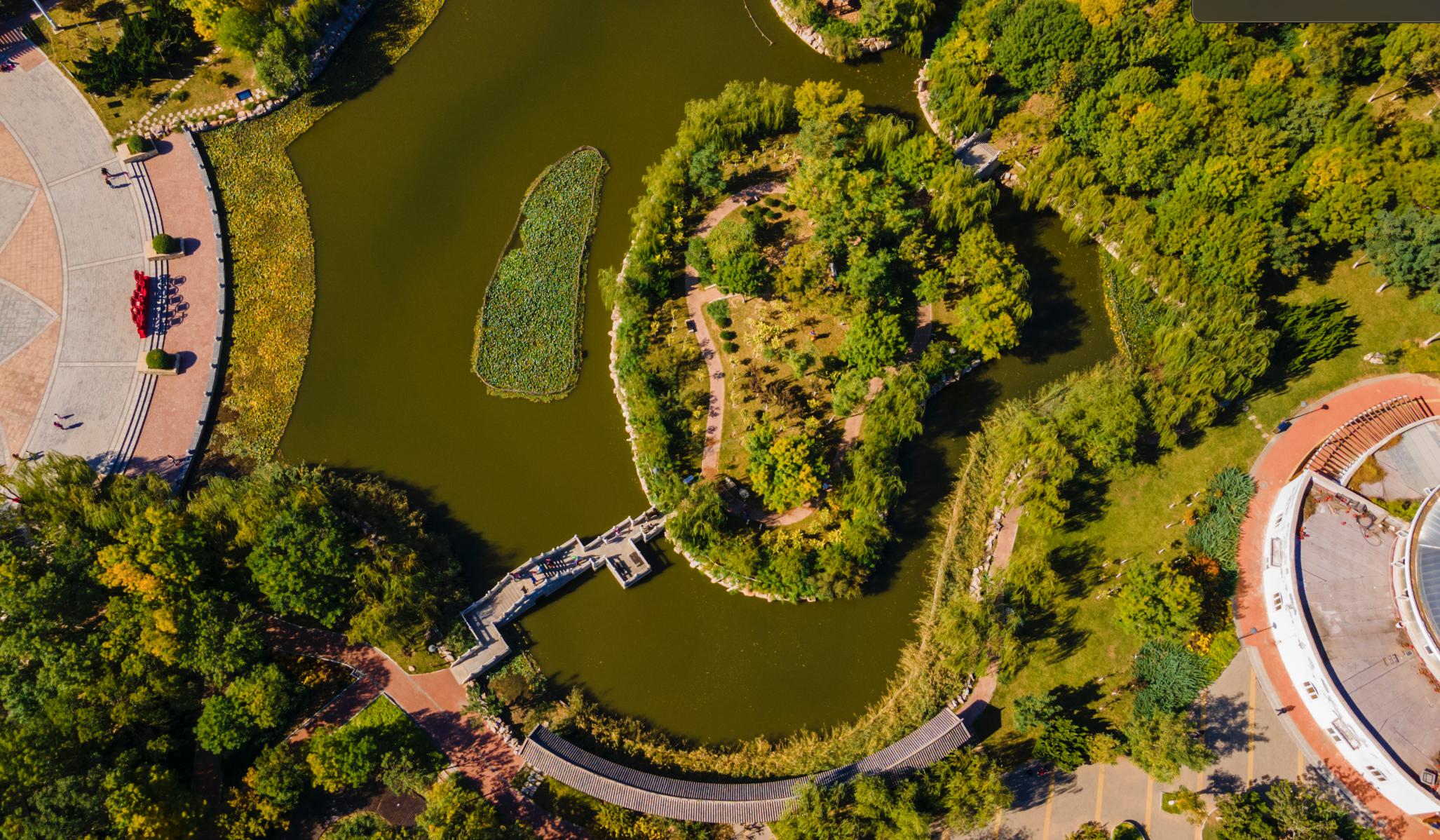 天津森林公园儿童乐园项目介绍,滨海新区适合带孩子玩的公园