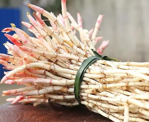 鱼腥草是美食还是黑暗料理,鱼腥草是黑暗料理吗