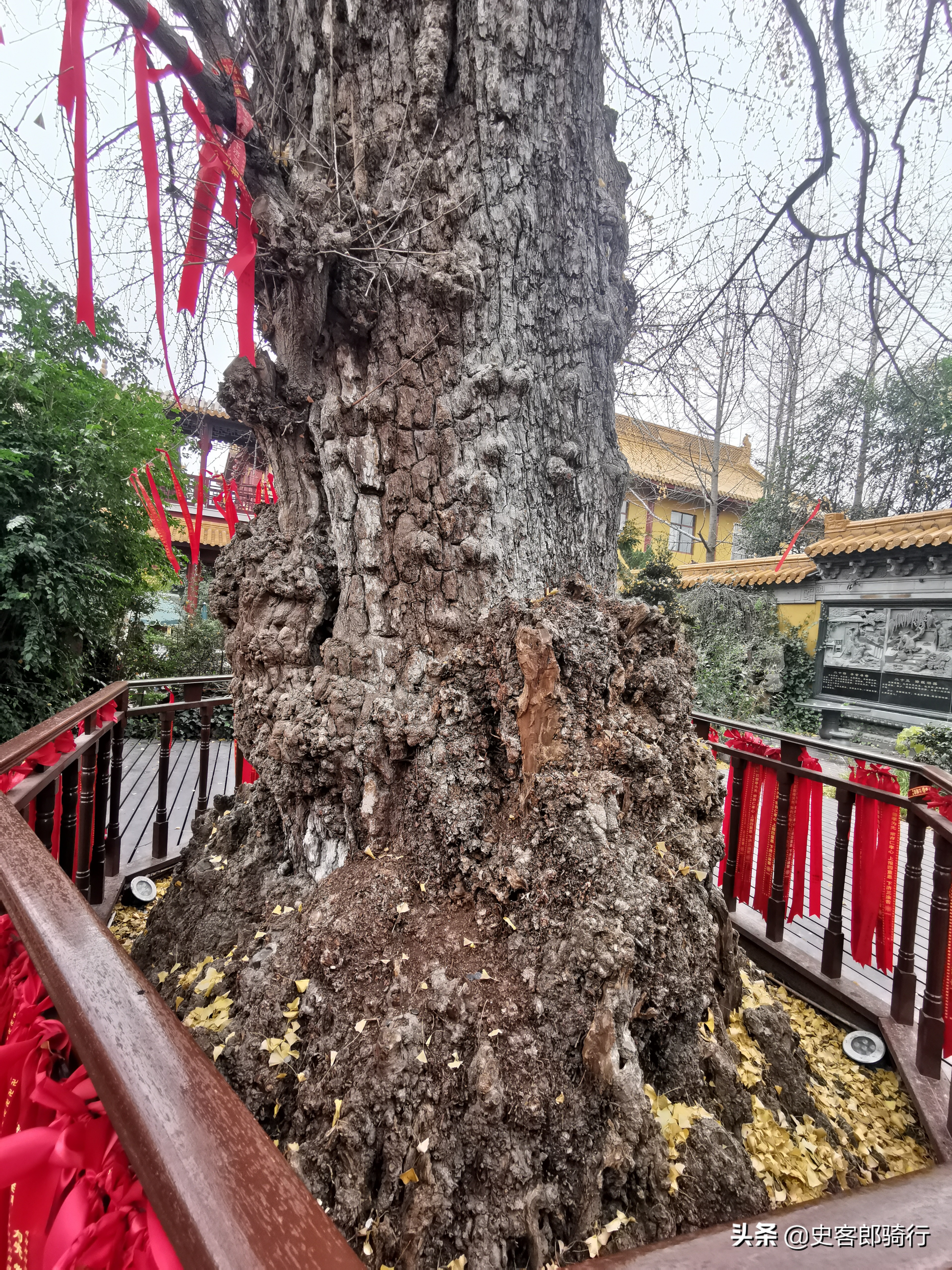 骑车看上海，二严寺