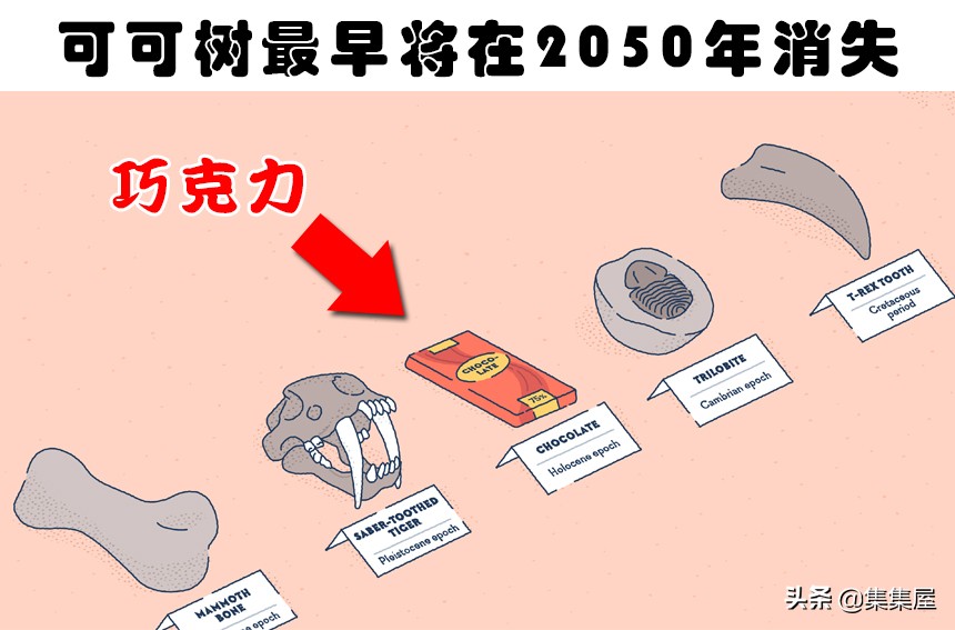最短的自动扶梯是怎么运行的,世界上最短的自动扶梯怎么做