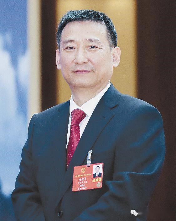 盘点*会两**动物保护热词：为它们要福利关系你我的福祉