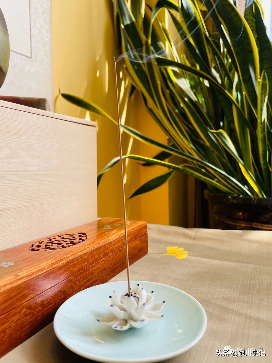 杨燕：我的书房为啥叫“晤园”