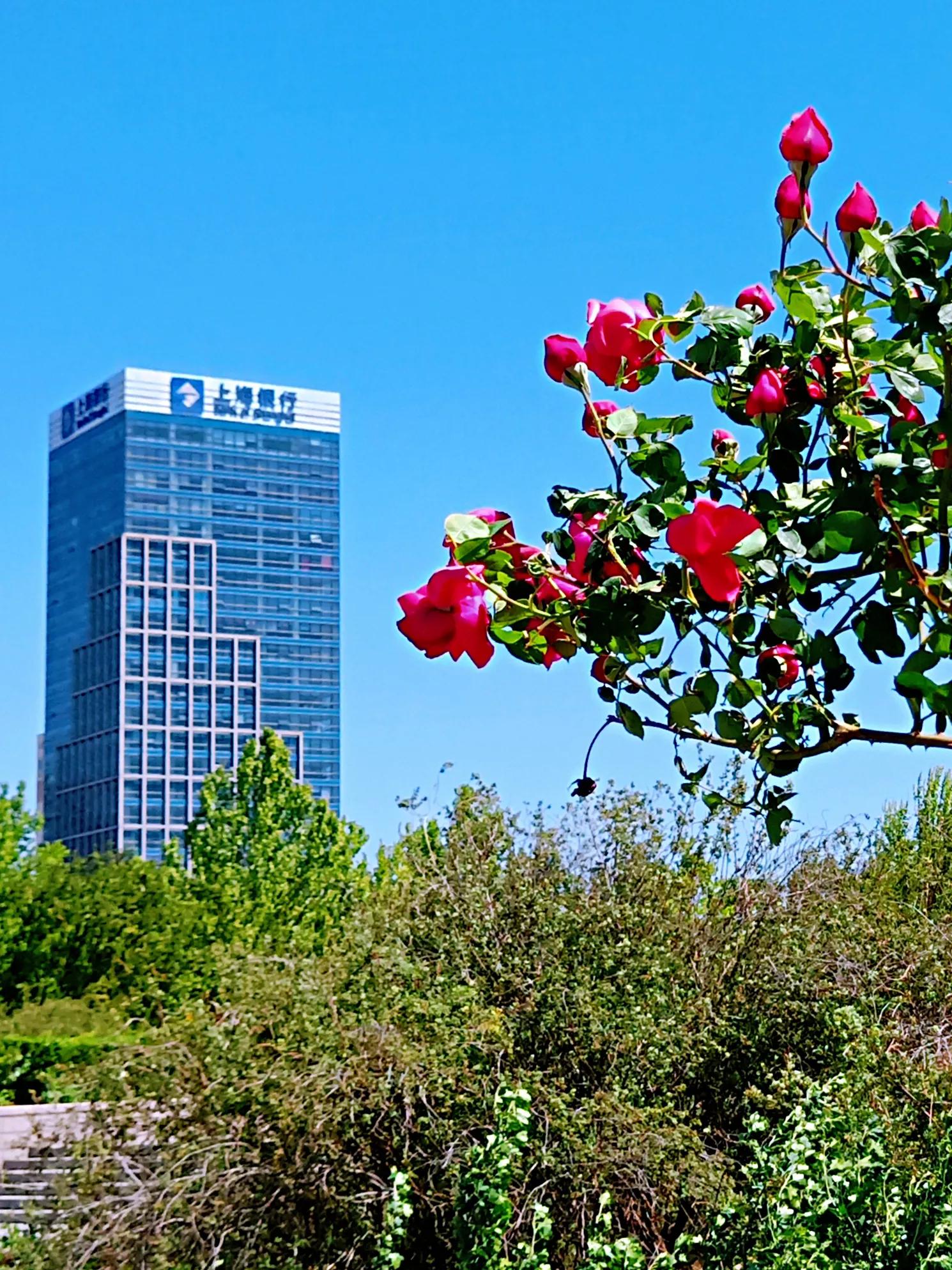 天津银河广场景观,天津银河公园攻略