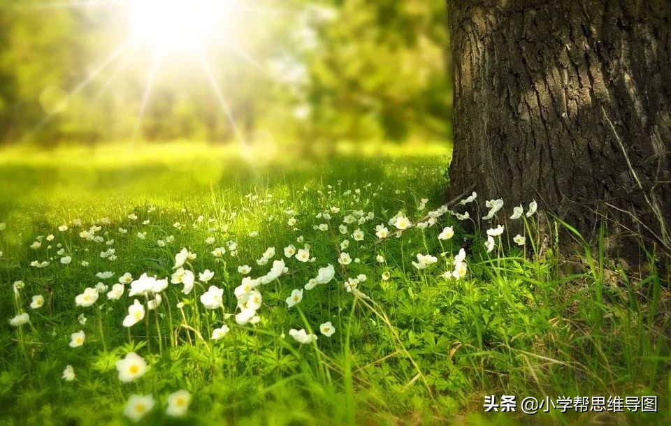 优秀作文成长的滋味750字,优秀作文成长感悟600字