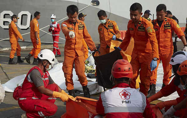 737max8狮子,737max8客机视频