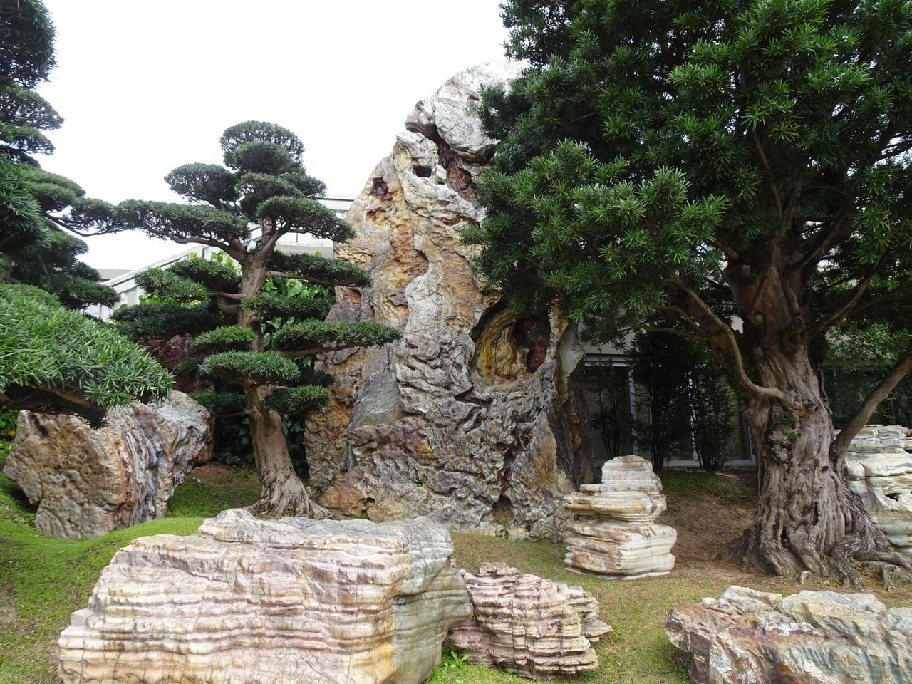 香港志莲净苑地图,香港志莲净苑好玩吗