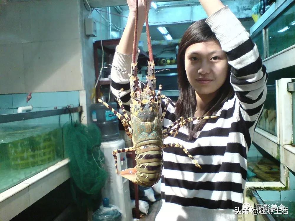 世界上的各种龙虾,世界上最大龙虾