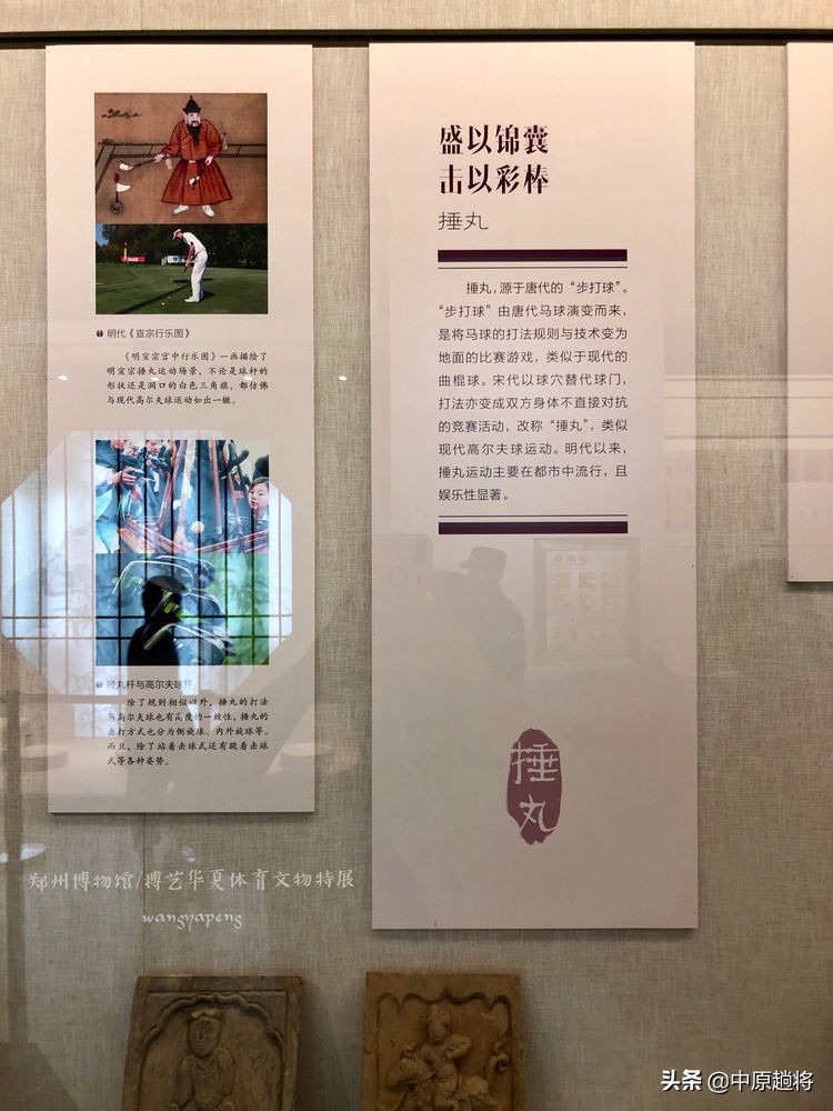 古代的体育运动你知道多少？郑州博物馆看华夏体育*物文**特展