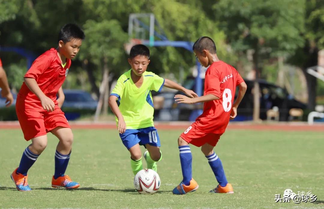 区中小学足球联赛,体教融合杯中学篮球赛