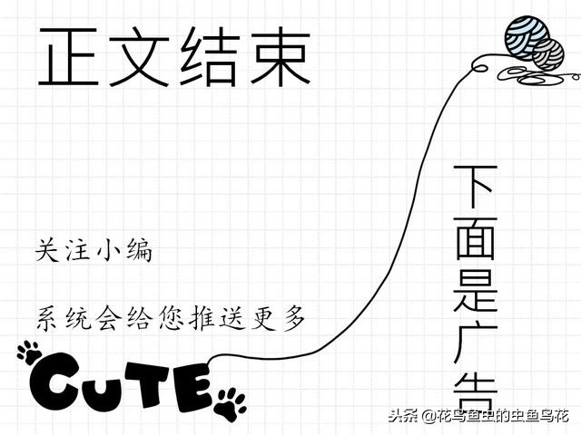 养金鱼硝化系统,关于养金鱼的经验和方法