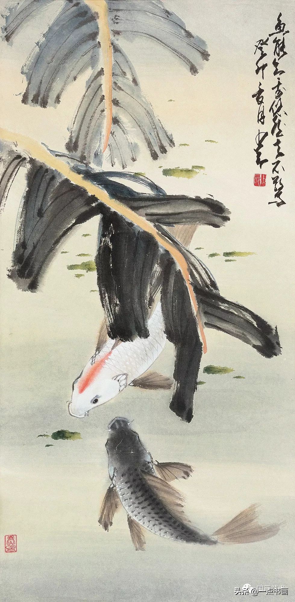 流光容易把人抛绿了芭蕉赏析,流光容易把人抛红了海棠绿了芭蕉