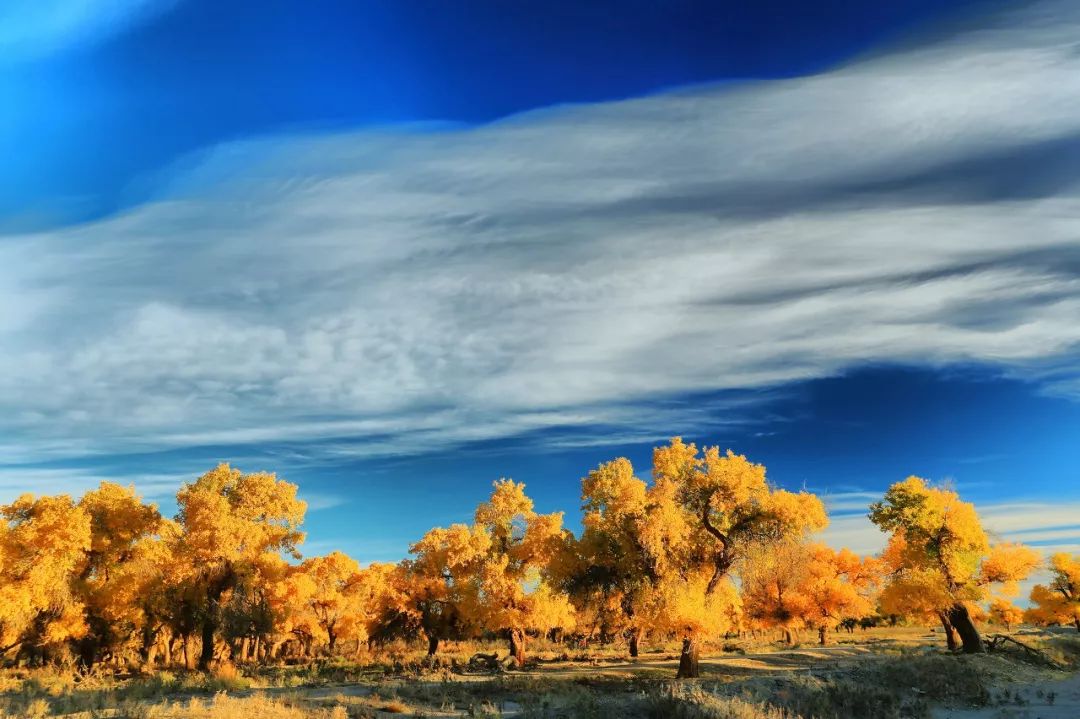 最值得去的10个国外旅行地,国内最值得去的二十个城市
