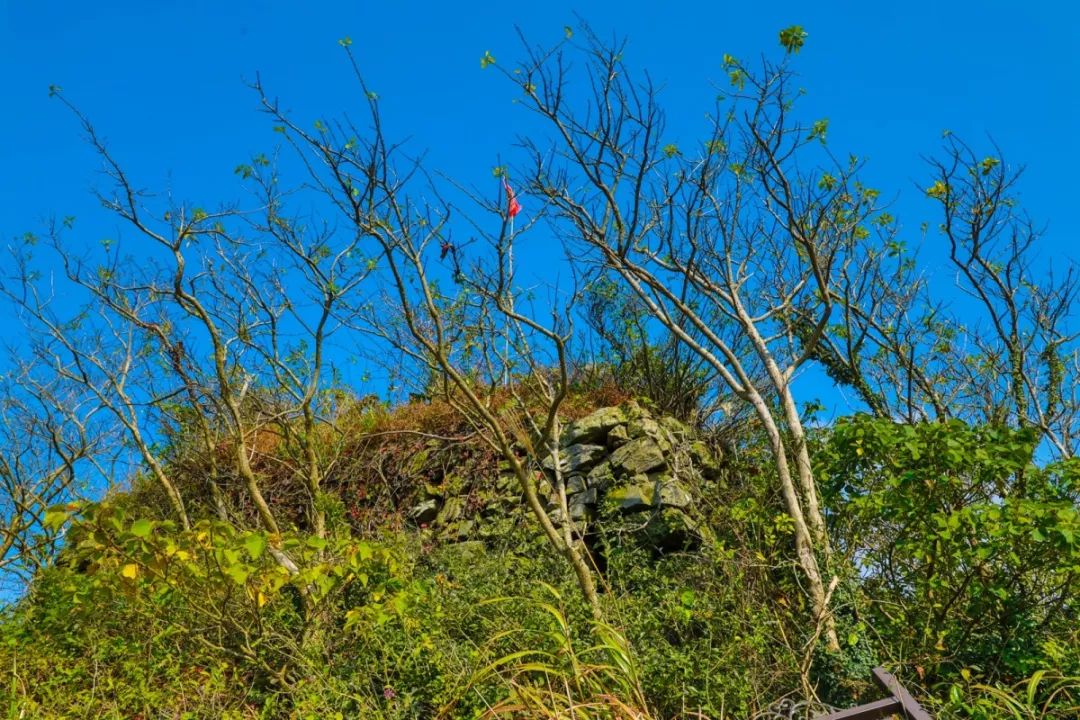 北仑凤凰山森林步道从哪里开始,北仑十大免费景区八大坑森林步道