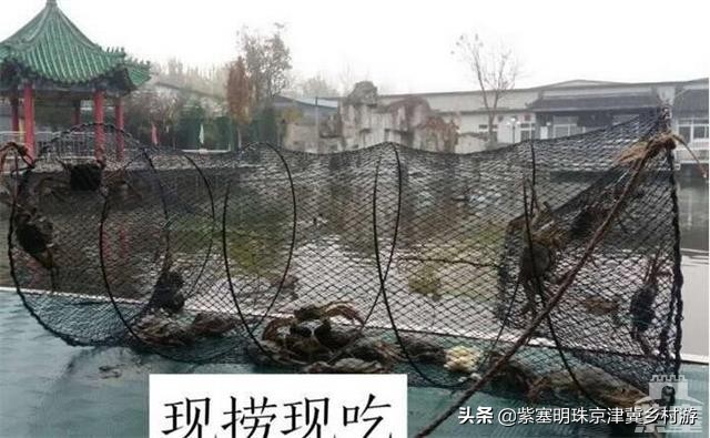 北京周边可以垂钓的农家院,北京钓鱼度假农家院