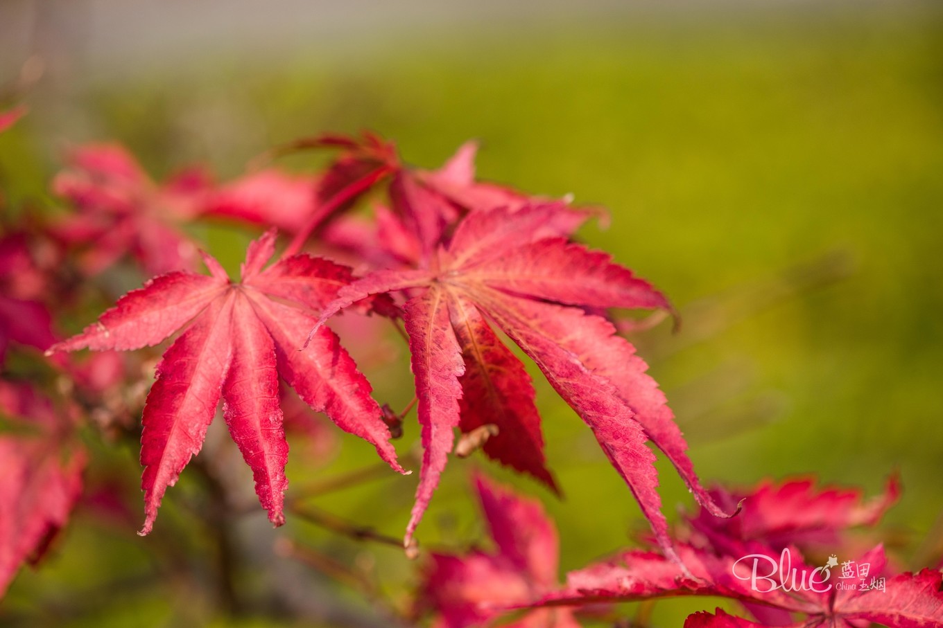 中国最美的大乘佛寺,最有灵性的古佛寺