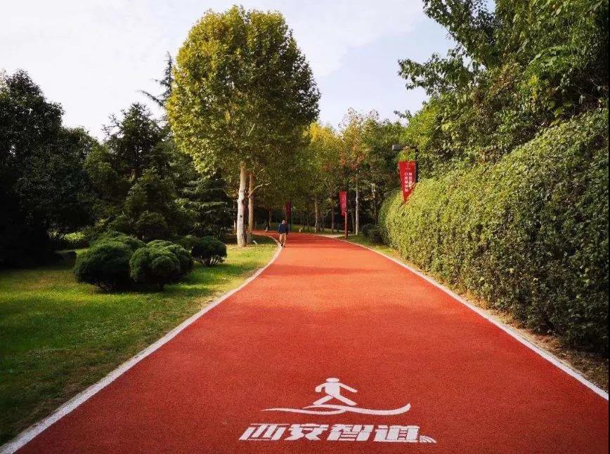 马拉松城市？原来西安有这么多跑步胜地！