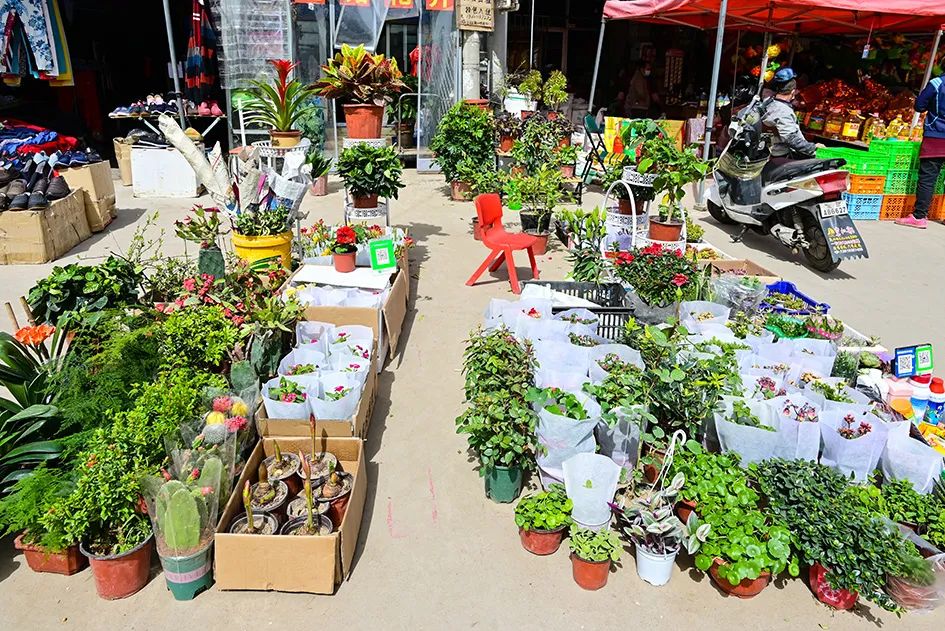 逛逛早市感受一下人间烟火的味道,最值得逛的早市