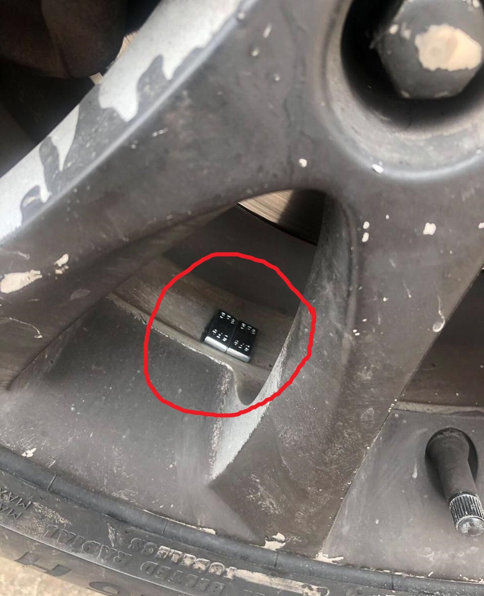 有哪些让人笑到肚子疼的搞笑段子,搞笑段子驴叫