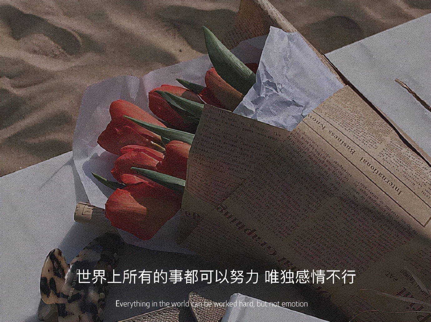 下次见你谈笑风生不动情怎么回,下次见你谈笑风生不动情的图片