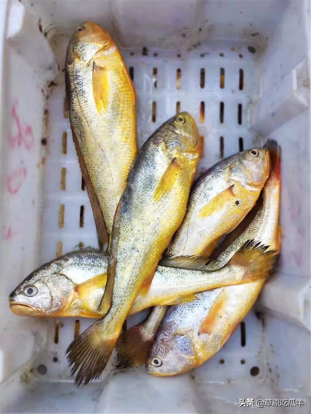 宁波地道的特点海鲜叫什么,宁波小海鲜都有哪些