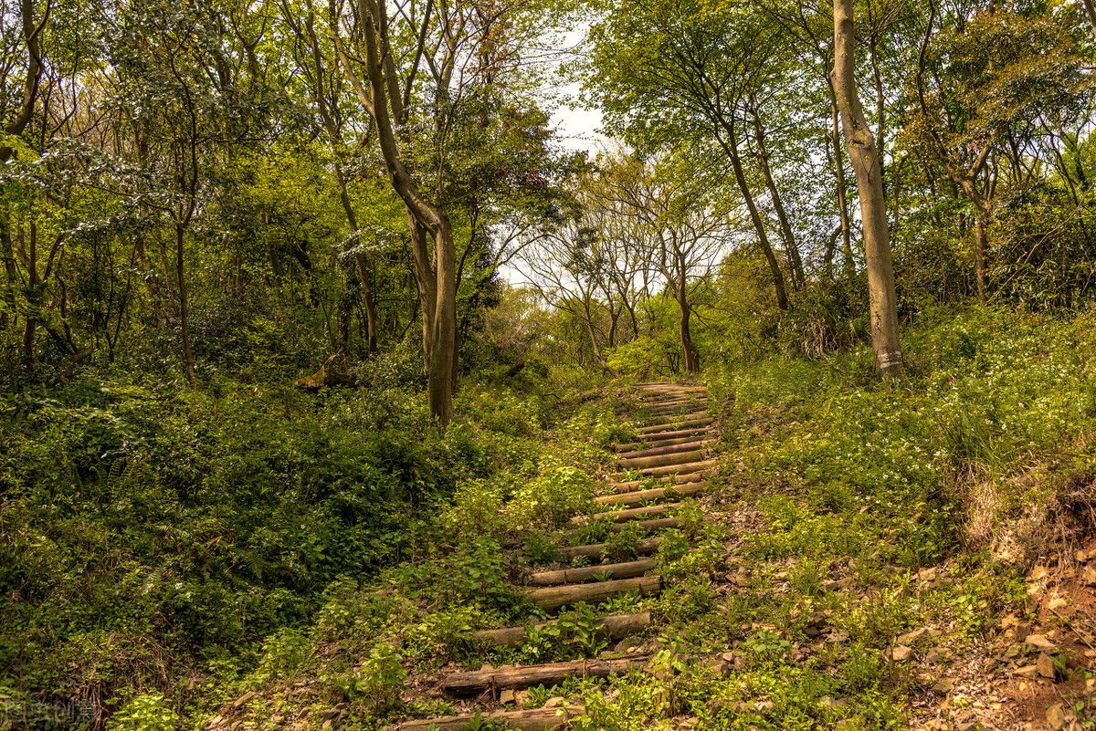 赞美老师的古诗词20首简短,赞美老师的五言古诗100首