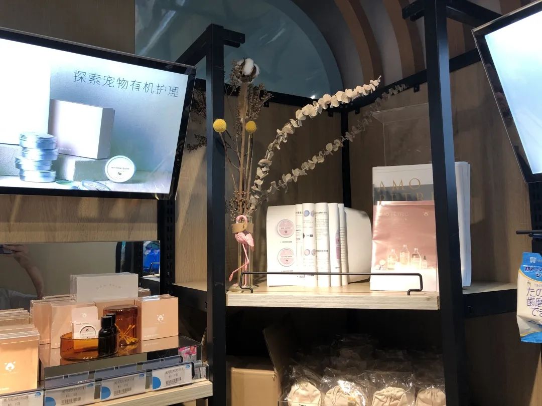 欢迎同行入内，这是一家为宠物店而开的宠物