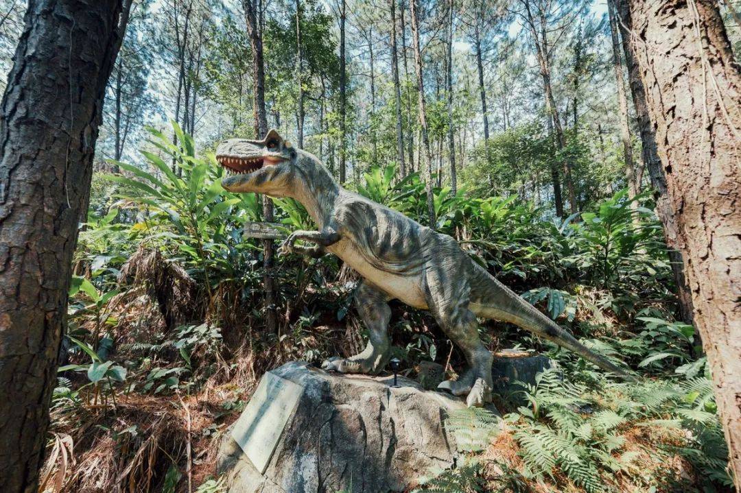 森波拉温泉度假村两天一夜游,倒数跨年狂欢夜