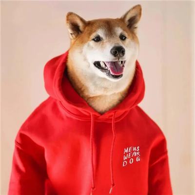 成熟狗狗穿搭,狗界王老五的时尚型穿搭示范