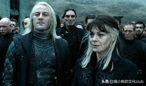 哈利波特母亲的爱,哈利波特里的妈妈们