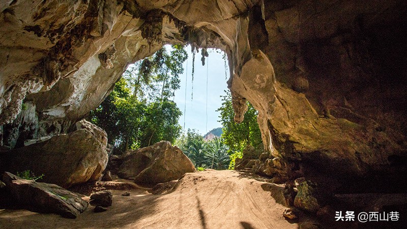 去马来西亚猫山王产地旅游,马来西亚猫山王