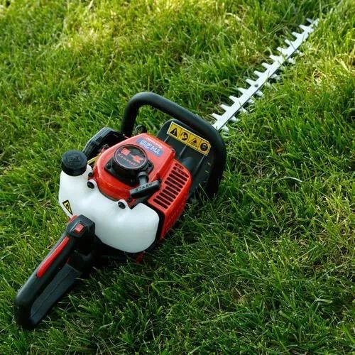 精心饲养的花草,精心呵护花草的收获和感受