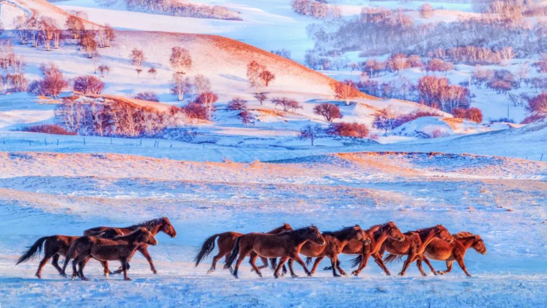 内蒙赤峰热吗,内蒙古赤峰冷不冷