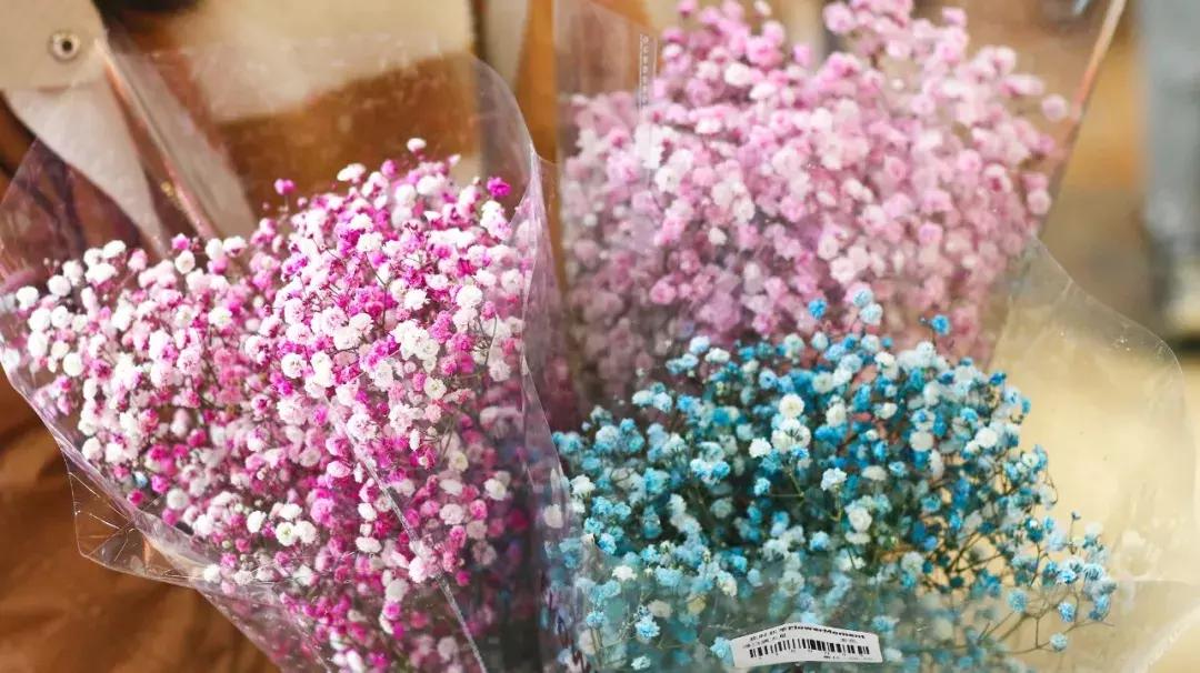厦门这家超浪漫的鲜花餐厅,厦门最好看的花店