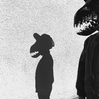 哪款iphone拍出来的照片更好看,苹果年度最佳照片