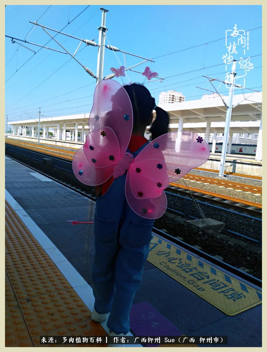 艳阳高照凉爽贵州，我要勤快地捕捉美好！（二）