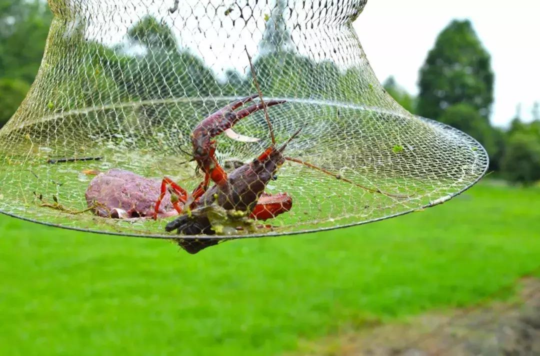 都江堰景区钓鱼地点推荐,都江堰垂钓好去处