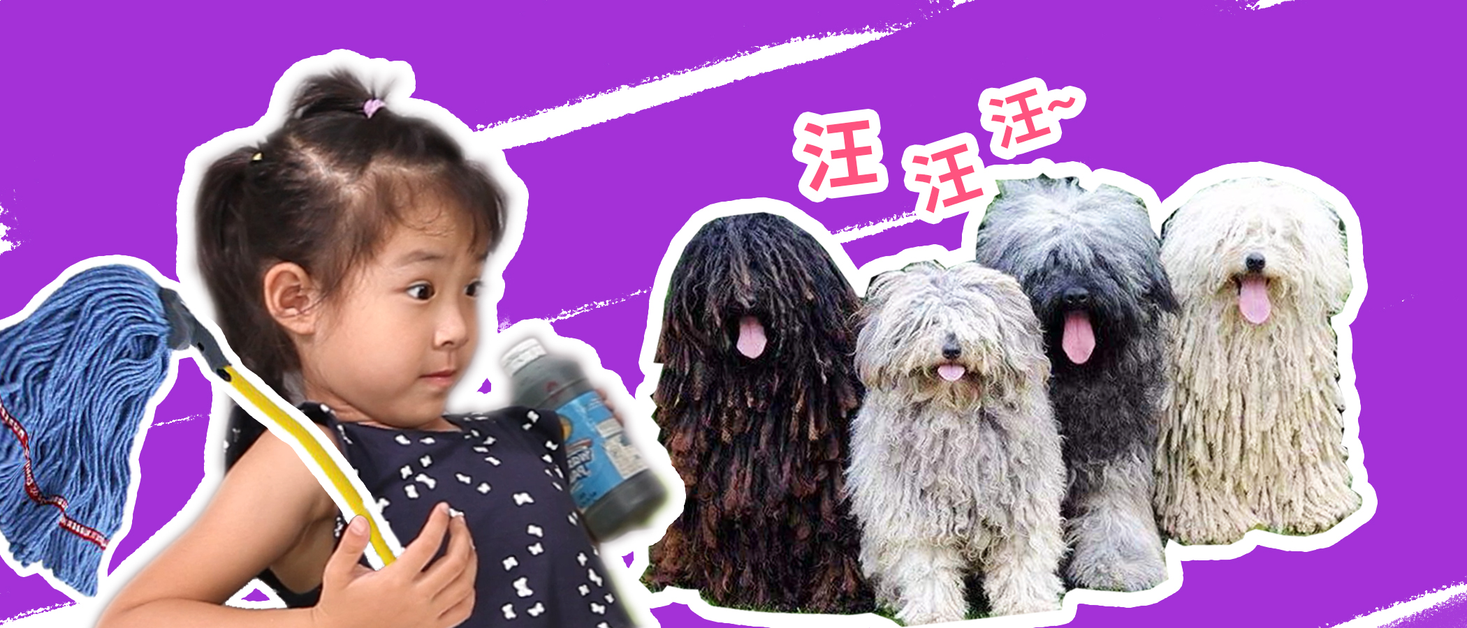 怀疑你是猫还是狗,你到底是猫还是狗啊原版