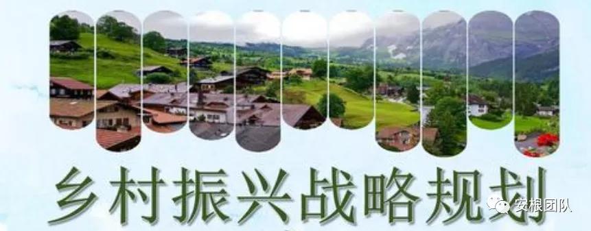 乡村振兴与电商创业项目,与乡村振兴有关的创业项目